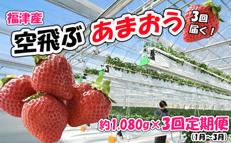 【3回届く！（1月～3月）】福津産『空飛ぶあまおう』約1,080g×3回定期便【スカイフローラファーム】[G7053]