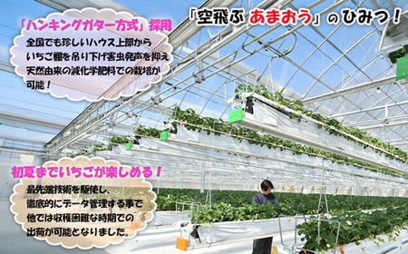 【3回届く！（1月～3月）】福津産『空飛ぶあまおう』約1,080g×3回定期便【スカイフローラファーム】[G7053]