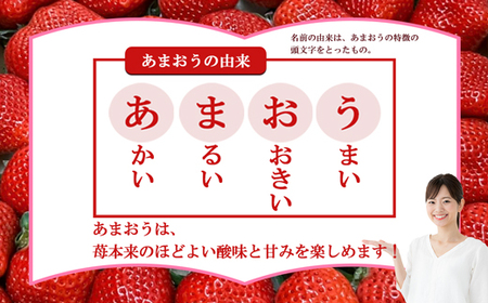 【3回届く！（1月～3月）】福津産『空飛ぶあまおう』約1,080g×3回定期便【スカイフローラファーム】[G7053]