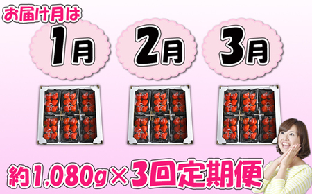 【3回届く！（1月～3月）】福津産『空飛ぶあまおう』約1,080g×3回定期便【スカイフローラファーム】[G7053]