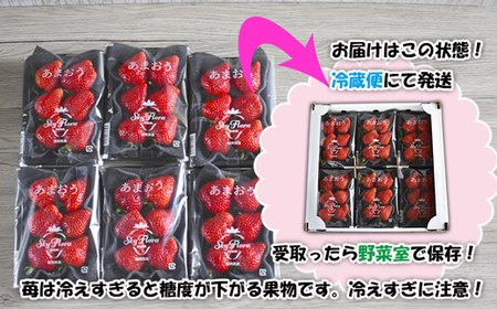 【3回届く！（1月～3月）】福津産『空飛ぶあまおう』約1,080g×3回定期便【スカイフローラファーム】[G7053]