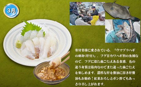 【3回届く！】漁港直送！玄界灘海の幸定期便★水揚げされたての高鮮度を活かした地魚刺身・漬けを3回お届け！[G7059]