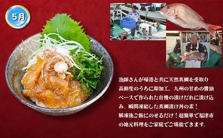 【3回届く！】漁港直送！玄界灘海の幸定期便★水揚げされたての高鮮度を活かした地魚刺身・漬けを3回お届け！[G7059]