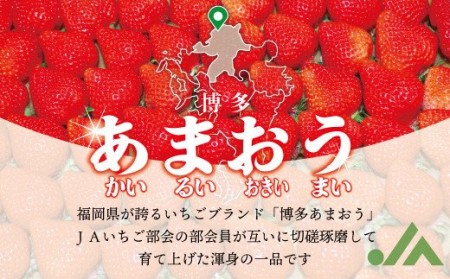 博多あまおう4パック3回定期便【2025年2～4月】約1,120g×3回[F5342]