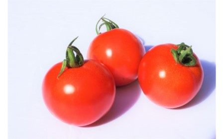 【4ヶ月定期便】福津のトマトバラエティセット（3～6月）★あんずの里[G7008]