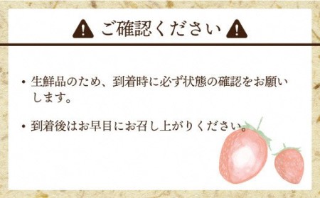 【2026年2月より順次発送】★大玉規格★博多あまおう4パック　約1,120g[G2244]