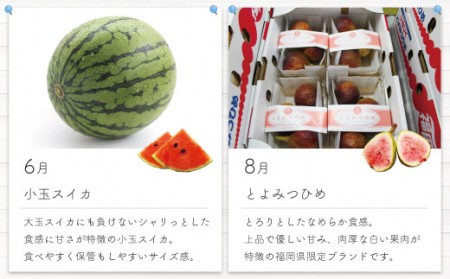 旬のフルーツ定期便 年６回 偶数月コース 随時開始 D5240 福岡県福津市 ふるさと納税サイト ふるなび