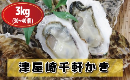 【2025年1～2月出荷】津屋崎千軒かき約3kg（30～40個）【加熱用】[F4113]