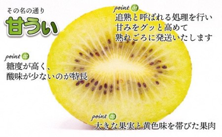 茨城県産！甘くて大きい！黄色いキウイフルーツ♡（9.5キロ）