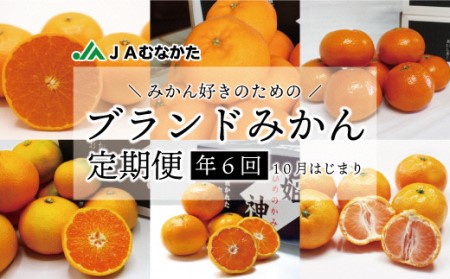 Jaむなかたブランドみかん 6回定期便10月始まり 約3kg 6種 C5330 福岡県福津市 ふるさと納税サイト ふるなび