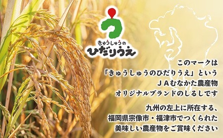 【米定期便】【年6回偶数月】【2026年2月発送開始】JAよりお届け！福岡県ブランド米「夢つくし」 5kg（5kg×1袋）×6回 計30kg[G5042b]