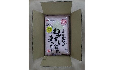 12ヶ月毎月★夢つくし10kg×12回 令和6年産【1月開始】[F5051a]