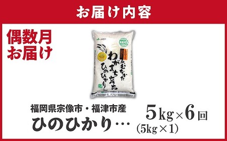 【米定期便】【年6回偶数月】【2026年2月発送開始】JAよりお届け！「ひのひかり」 5kg（5kg×1袋）×6回 計30kg[G5082b]