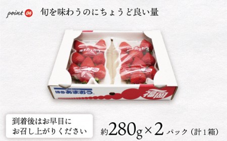 【2025年12月発送】博多あまおう2パック　約560g[G2260]