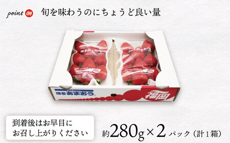 【2026年3月下旬より順次発送】博多あまおう2パック　約560g[G2211a]