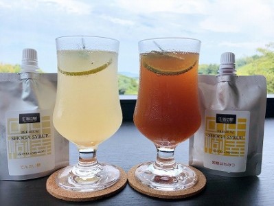 ★無添加★プレミアムしょうがシロップ2種セット（黒糖蜂蜜・てんさい糖）120g×2本　おもむき屋[F4486]