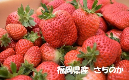 福岡県産ブランドいちご2種食べ比べセット「あまおう」「さちのか」各2