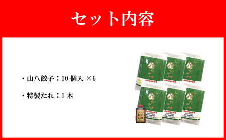 【山八】キャベツたっぷり！にんにく控えめ★山八餃子（10個入×6）計60個[F4523]