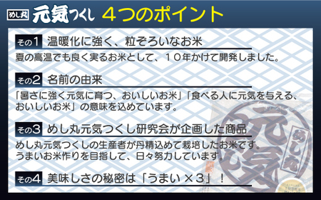 福岡県産米　無添加「元気つくし」パックご飯　200g×24パック[G2308]
