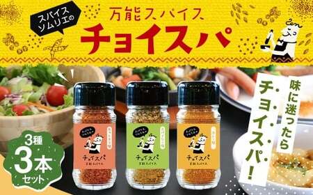 スープカレー専門店 禅 チョイスパ ３種の詰め合わせセット (スパイシー味・カレー味・ホットチリ味) 各40g×3本 16,500円