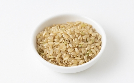 P405-10 【定期便】みずほファーム UKIHA RICE (玄米10kg×12ヶ月