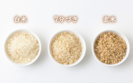 P415-05 【6ヶ月定期便】みずほファーム UKIHA RICE (七分搗き5kg×6