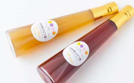 中村柿ぶどう園 濃縮ぶどうビネガー2本セット(ぶどう・シャインマスカット) 各300ml フルーツビネガー 果実酢 フルーツ酢 お酢 酢 ビネガー 濃縮タイプ 飲料 福岡県 うきは市