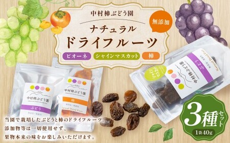 中村柿ぶどう園 ナチュラルドライフルーツ 3種セット (ピオーネ・柿・シャインマスカット) 各約40g