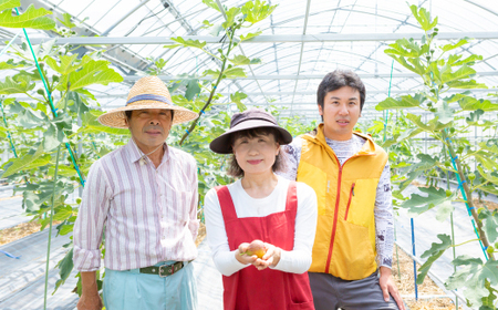 【先行予約】渡辺農園 いちじく (とよみつひめ) 2パック 2025年7月下旬から8月下旬 出荷予定