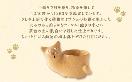陶・染 きとゆ工房 動物の植木鉢 (ネコ) 猫 ねこ 植木鉢 鉢 オブジェ