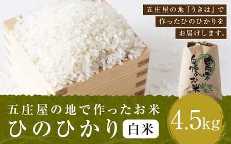 【特Aランク米】五庄屋の地で作ったお米 ひのひかり 白米 (4.5kg) 【2025年10月下旬より順次発送予定】 ヒノヒカリ こめ コメ ごはん ご飯 福岡県うきは市産 九州産