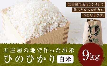 【特Aランク米】五庄屋の地で作ったお米 ひのひかり 白米 (9kg) 【2025年10月下旬より順次発送予定】 ヒノヒカリ こめ コメ ごはん ご飯 福岡県うきは市産 九州産