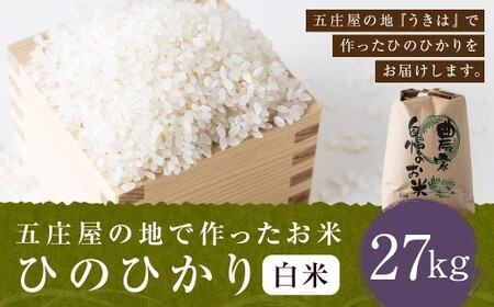 【特Aランク米】五庄屋の地で作ったお米 ひのひかり 白米 (27kg) 【2025年10月下旬より順次発送予定】 ヒノヒカリ こめ コメ ごはん ご飯 福岡県うきは市産 九州産