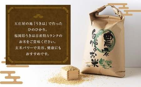 【特Aランク米】五庄屋の地で作ったお米 ひのひかり 玄米 (30kg) 【2025年10月下旬より順次発送予定】 ヒノヒカリ こめ コメ ごはん ご飯 福岡県うきは市産 九州産