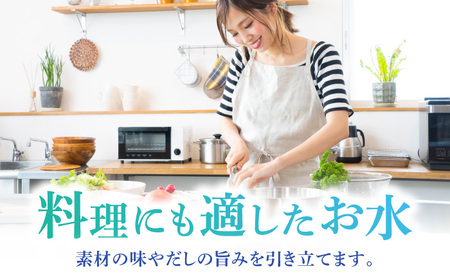 【12ヶ月定期便】赤ちゃんも安心して飲める 清水湧水 軟水 500ml 計48本 非加熱殺菌 ミネラルウォーター【株式会社清水】天然水の風味を損なわないよう非加熱殺菌 天然水 水 軟水 ペットボトル 500 500ml 定期便 12回定期便