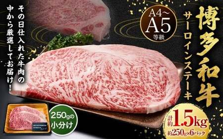 【A4・A5】博多和牛 サーロインステーキ 約1.5kg （約250g×6P） 肉 牛肉 牛 和牛 国産牛 福岡県 うきは市 冷凍