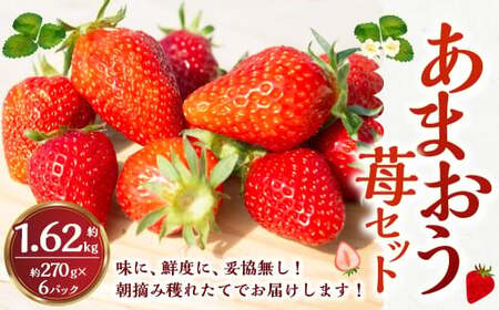 【2026年4月発送】 よかもんいちご あまおう苺セット 6パック （計約1.62kg） よかもん苺 苺 いちご イチゴ 果物 果実 フルーツ 九州 福岡県 うきは市 冷蔵 6,390円