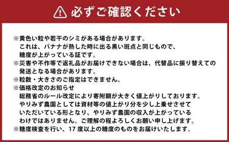 【先行予約】 やりみず農園 農家応援! ご家庭用 シャインマスカット(約1kg) 【2026年8月下旬~9月上旬発送予定】 マスカット ぶどう ブドウ 葡萄 くだもの 果物 フルーツ 果実 福岡県 うきは市