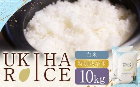 UKIHA RICE 白米 10kg （特別栽培米） 【2025年11月上旬から2026年8月下旬発送予定】 ヒノヒカリ ひのひかり 精米 米 こめ コメ お米 おこめ 白米 精米 ごはん ご飯 お中元 お歳暮 ギフト プレゼント 贈答品 おすすめ 国産