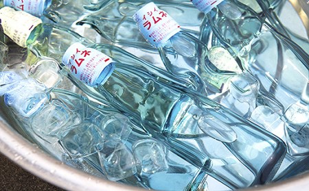 K530 石井飲料 イシイラムネ 巨峰ラムネセット 福岡県うきは市 ふるさと納税サイト ふるなび