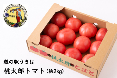 H343 道の駅うきは 桃太郎トマト 12玉前後 (約2kg)
