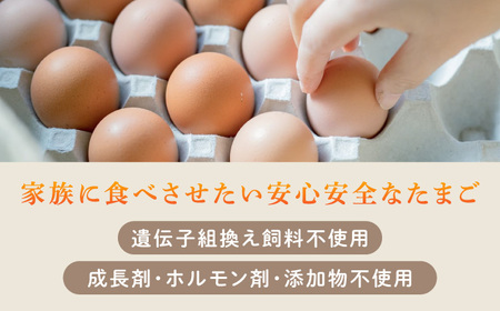 【6ヶ月定期便】平飼い 山もりたまご 20個 安心安全 おいしさに感動 たまご 卵 高級卵 平飼い 安心安全 飼料にこだわり 成長剤 ホルモン剤 添加物不使用 6回定期便