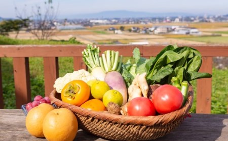 【年4回定期便】うきは特別便 季節の特産品詰め合わせ 各2kg×4回 (1月・6月・8月・11月) お届け