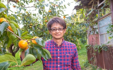 石井農園 冷蔵富有柿 15玉から20玉 2025年12月中旬から2026年3月31日 出荷予定