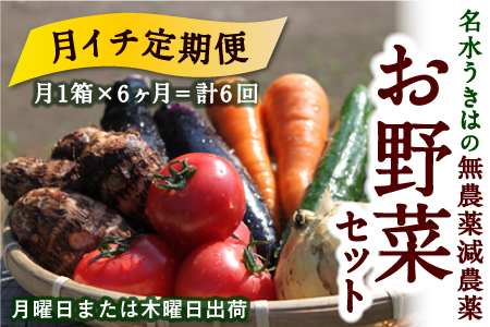 【月イチ定期便】UIC 名水うきはの無農薬減農薬お野菜セット (ひと月1箱×半年間=計6回)