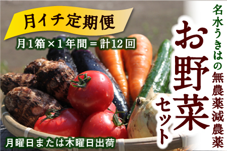 【月イチ定期便】UIC 名水うきはの無農薬減農薬お野菜セット (ひと月1箱×1年間=計12回)