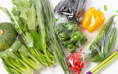 月2回定期便】UIC 名水うきはの無農薬減農薬お野菜セット (ひと月2回×2