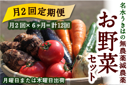 【月2回定期便】UIC 名水うきはの無農薬減農薬お野菜セット (ひと月2回×半年間=計12回)