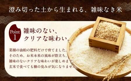 自然栽培 ひのひかり 玄米 5kg 【2025年10月下旬より発送予定】 米 お米 ご飯  うきは市