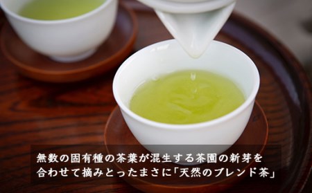 楠森堂 実生在来茶3種 (特上煎茶80g)・(特上ほうじ茶30g)・(上煎茶80g) セット 計190g お茶 茶 お茶の葉 茶葉 煎茶 緑茶 ほうじ茶 焙じ茶 焙茶 福岡県 うきは市